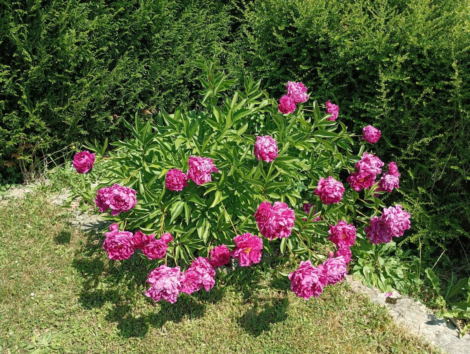 Holiday home La Rose De Provins